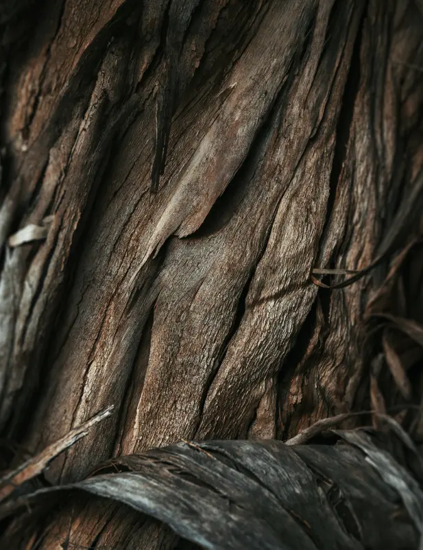 Vanilla Sandalwood 110 Ml Room Spray - Image 2